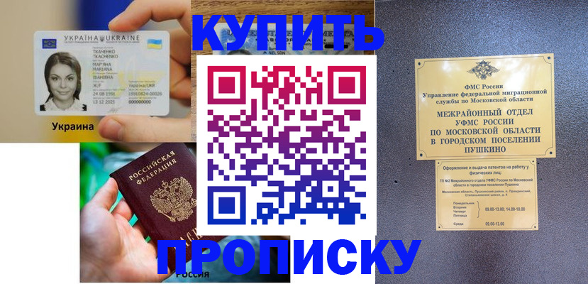 прописка законно в Завитинске